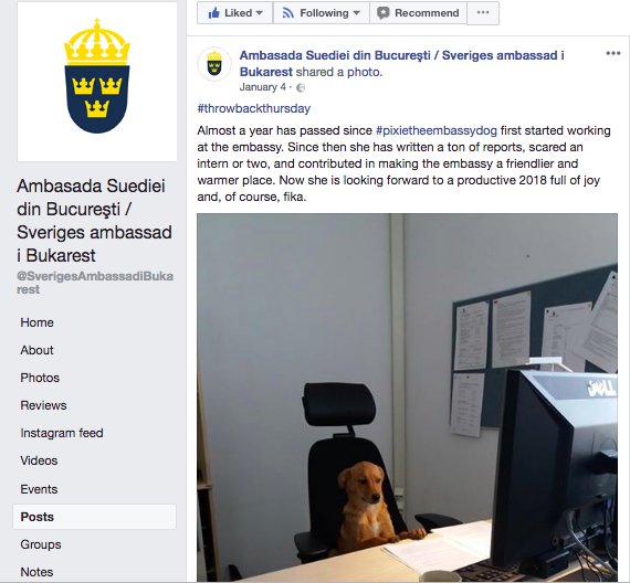cainele Ambasadei Suediei in Romania